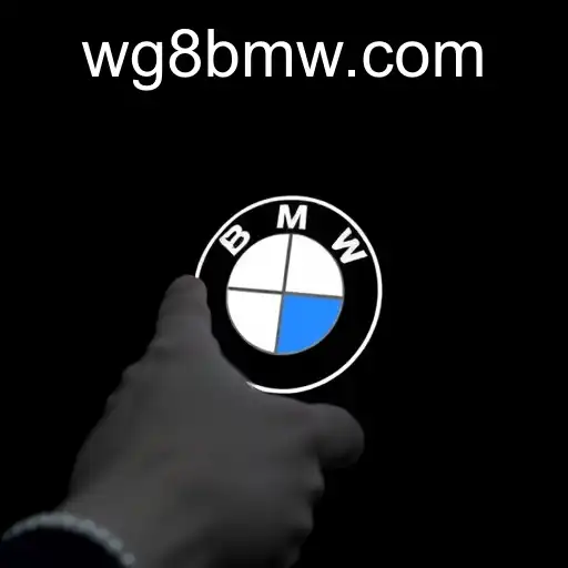 Understanding User Agreements: A Focus on WG-BMW.COM