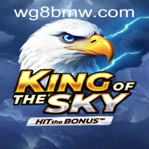 KingOfTheSky: Exploring the Unique Universe of WG-BMW.COM